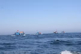 Le Vietnam rejette l’interdiction chinoise de pêche en Mer Orientale