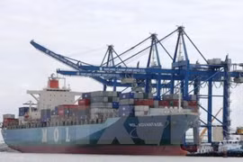 Ba Ria-Vung Tau: le port SSIT accueille le premier porte-conteneurs