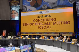 Le Vietnam participe à la CSOM 2018 de l'APEC en Papouasie-Nouvelle-Guinée