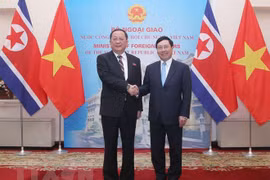 Le vice-PM et ministre des AE Pham Binh Minh s'entretient avec le ministre des AE de la RPDC