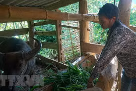 Thua Thiên-Huê accorde un fonds de 11 millions d’USD pour soutenir les habitants montagneux