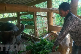 Thua Thiên-Huê accorde un fonds de 11 millions d’USD pour soutenir les habitants montagneux