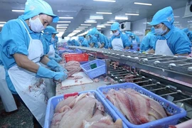 Le Vietnam exporterait 2 milliards de dollars de pangasius en 2018