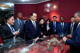 Le président Tran Dai Quang quitte l’Ethiopie pour l’Egypte