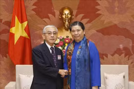 La vice-présidente permanente de l’AN Tong Thi Phong reçoit des anciens députés japonais