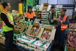 La blockchain pour la traçabilité des pitayas d’exportation vers l’Australie