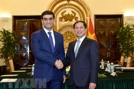 Vietnam-Turkménistan : consultation politique entre les ministères des Affaires étrangères