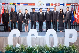 Le Vietnam établit un sous-comité pour coordonner les programmes géoscientifiques 