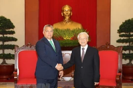 Belles perspectives des relations économiques Vietnam-Hongrie