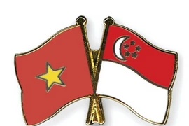 Hô Chi Minh-Ville célèbre les 45 ans des relations diplomatiques Vietnam-Singapour
