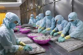 Exportations de produits aquatiques en forte hausse au 1er semestre