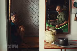 Le Vietnam soutient la décision du tribunal de San Francisco sur Monsanto