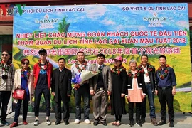 Lao Cai et Da Nang accueillent les premiers touristes étrangers de l'année du Chien