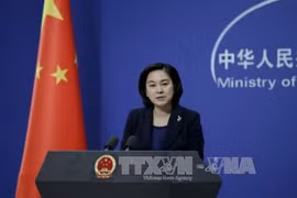 La Chine s’engage à renforcer sa coopération avec l’ASEAN