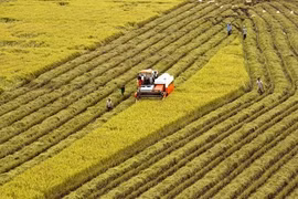 Publication de la liste des 23 finalistes du concours sur les technologies agricoles 