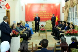 Le président Tran Dai Quang visite l’ambassade du Vietnam en Egypte