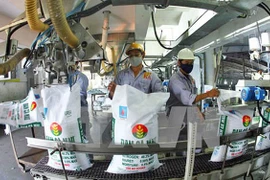 Vietnam : 245 entreprises publiques figurent dans la liste d’actionnarisation en 2018