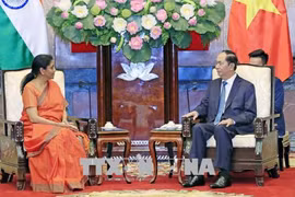 Pour dynamiser la coopération dans la défense Vietnam-Inde