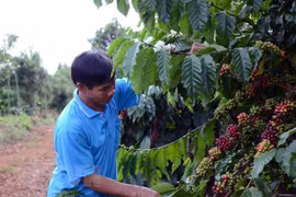 Vietnam et Canada cherchent à renforcer leur coopération commerciale