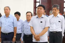 Affaire d’apport de fonds de PetroVietnam à OceanBank: Peine inchangée pour Dinh La Thang