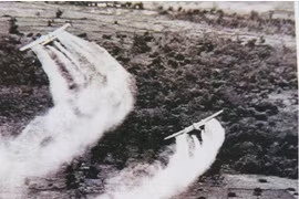 La longue lutte pour la justice des victimes de l’agent orange se poursuit