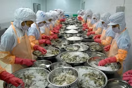 Les Etats-Unis supervisent les crevettes et ormeaux vietnamiens 