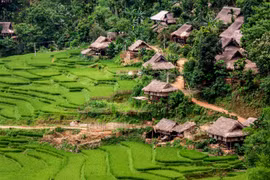 Homestay aux alentours de la Réserve nationale de Pu Luông