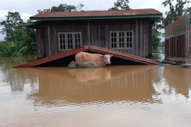 Les inondations généralisées font des ravages au Laos