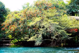 Les arrivées internationales à Quang Binh en hausse