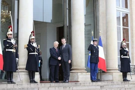 Vietnam-France : entretien entre Nguyen Phu Trong et Emmanuel Macron