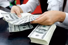 Deux milliards de dollars de devises transférées à HCM-Ville en cinq mois