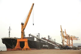 À Quang Ninh, la mer a de la ressource
