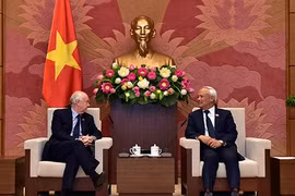 Promotion de la coopération multiforme Vietnam-Royaume-Uni