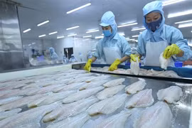 La production de pangasius sous la pression de l’offre