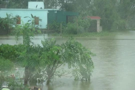 La tempête Son Tinh fait 63 morts, personnes portées disparues et blessées
