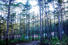 Mise en œuvre de huit programmes dans la Réserve mondiale de biosphère Lang Biang 