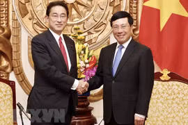 Développement des liens vietnamo-japonais