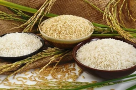 L'Algérie, un marché prometteur pour le riz vietnamien