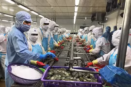 Cette année, le secteur agricole s’oriente vers l’objectif de 40 milliards de dollars d’exportation 