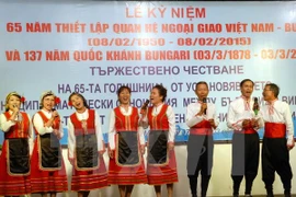 Un meeting en l'honneur du 65e anniversaire de l'établissement des relations diplomatiques Vietnam-Bulgarie. (Photo: Mạnh Linh/VNA)