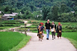 Lao Cai (Nord) entend accueillir prochainement environ 100.000 touristes, dont 50.000 à 70.000 rien que dans le district de Sa Pa. (Source : VNA)