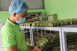 L’emballage des banh chung dans les locaux de l’entreprise Trân Gia. (Source : VNA)