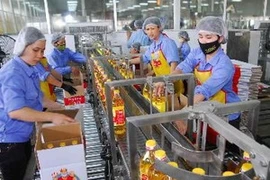 La chaîne de production de la Compagnie d'huile végétale Cai Lân . (Photo: Hong Ky/AVI)