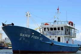 Le réseau bancaire accordera les pêcheurs des crédits au maximun de 95% de la somme totale pour construire de nouveaux navires. (Source : VNA) 