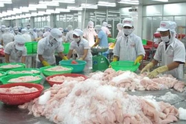 Transformation des pangasius. (Photo: Minh Tri/VNA)