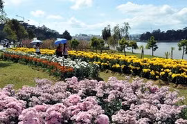 La ville de Da Lat (Photo: Thanh Ha/AVI) 