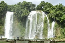 La cascade de Ban Giôc. Photo : VNA