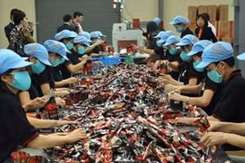 Photo d'illustration. (Source: dunghangviet.vn)