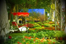 La rue florale Le Loi. Photo: internet
