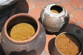 Le tuong - sauce de soja fermenté - est un condiment très répandu au Vietnam. Source: AVI 